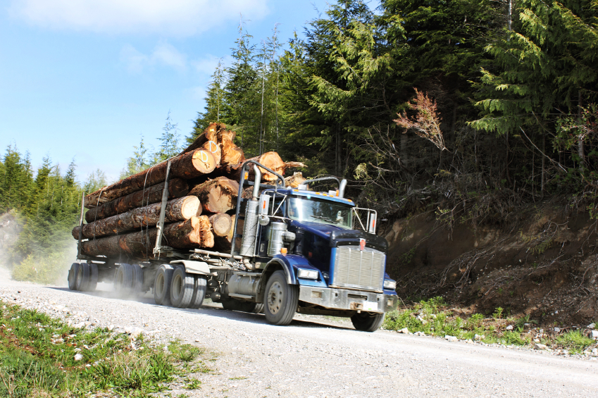 logging truck on gravel road